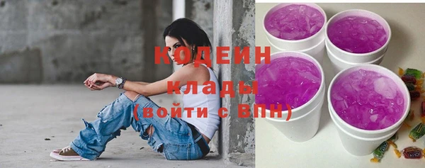 хмурый Алзамай