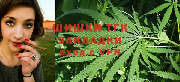 ГАЛЛЮЦИНОГЕННЫЕ ГРИБЫ Алексин