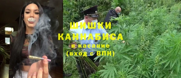 гидра Вяземский