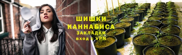 ГАЛЛЮЦИНОГЕННЫЕ ГРИБЫ Алексин