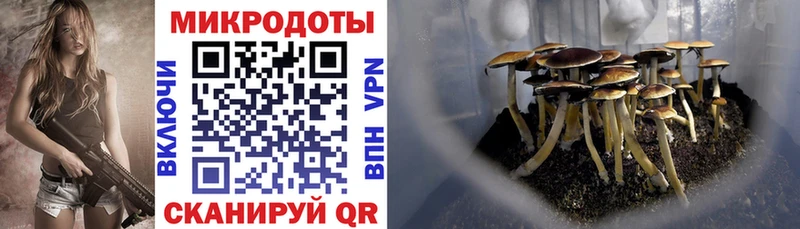 Псилоцибиновые грибы Psilocybe  дарк нет Telegram  Катав-Ивановск  где купить наркоту 